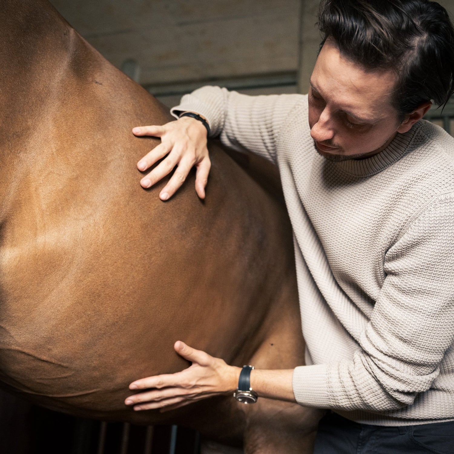 Natürlicher Magenschutz beim Pferd ohne Omeprazol