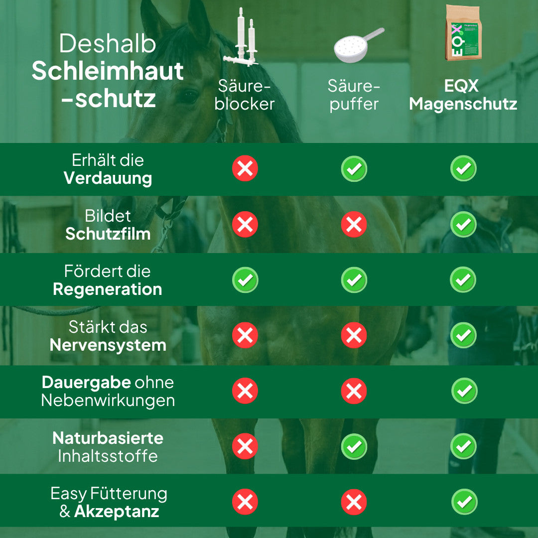 EQX Magenschutz