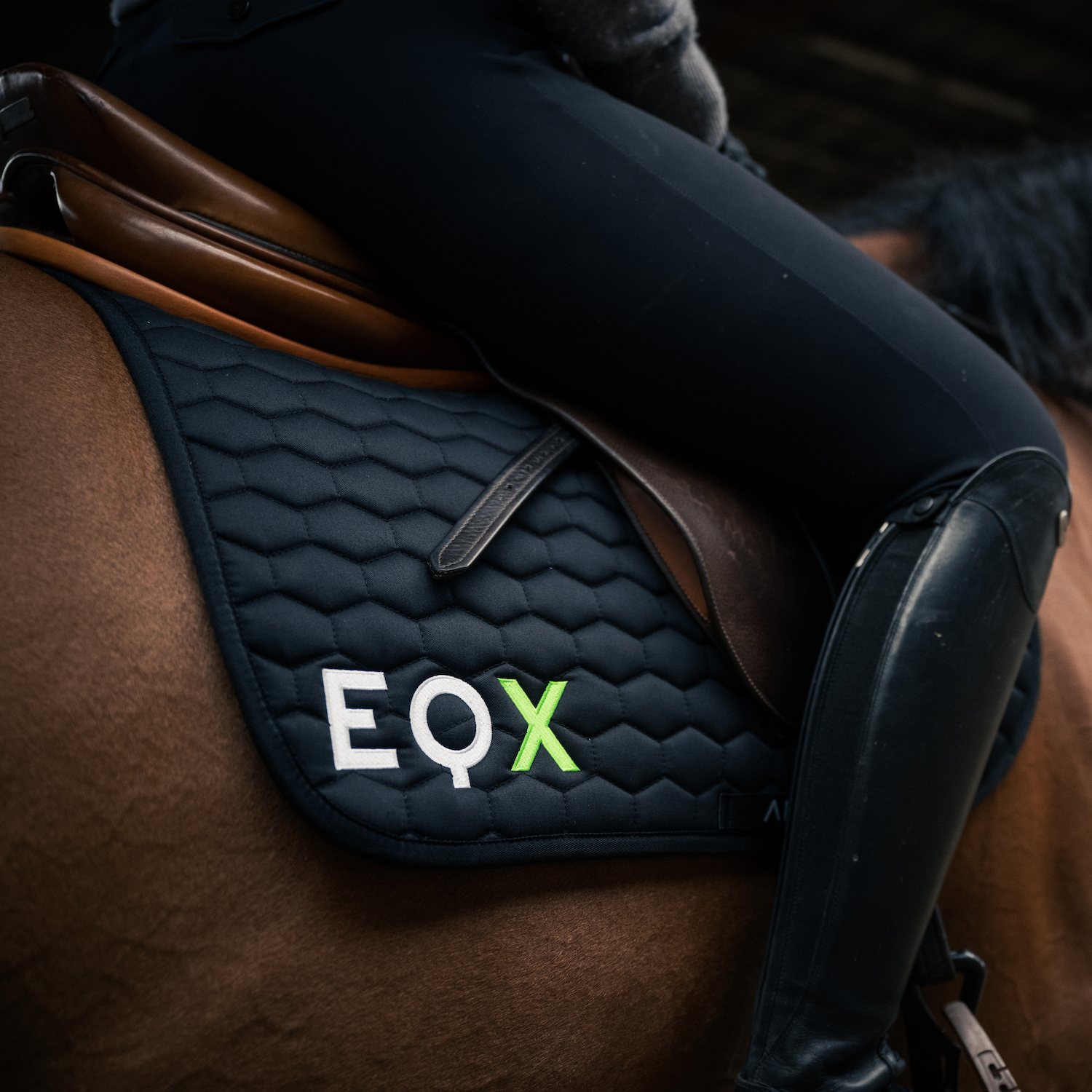 Spring-Schabracke mit EQX Logo
